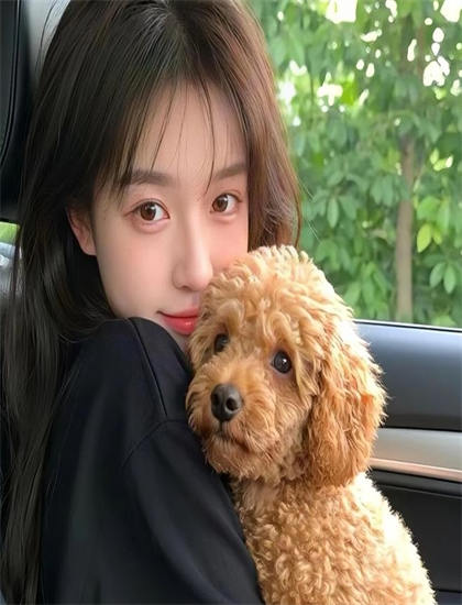 独立电影经典《完美上司》的技术创新与艺术成就 ——独立电影爱好者的必读指南