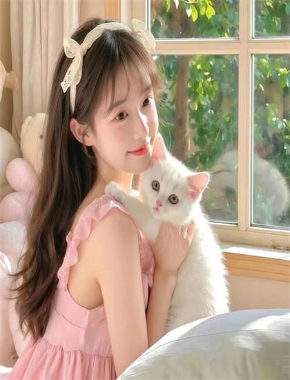 获奖作品：《天降甜妻如珠如宝》政治的权力博弈与社会结构——快速入门的简明教程